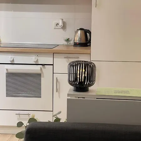 Platinum Luxury Near Presidential Palace Apartament *